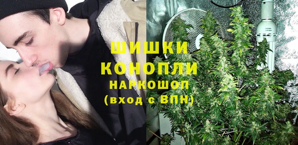 хмурый Пестово