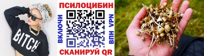 Галлюциногенные грибы Psilocybe  OMG сайт  Баймак 